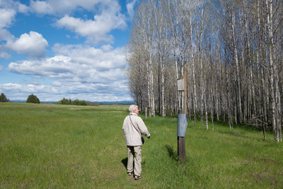 Mom checking out a nest box