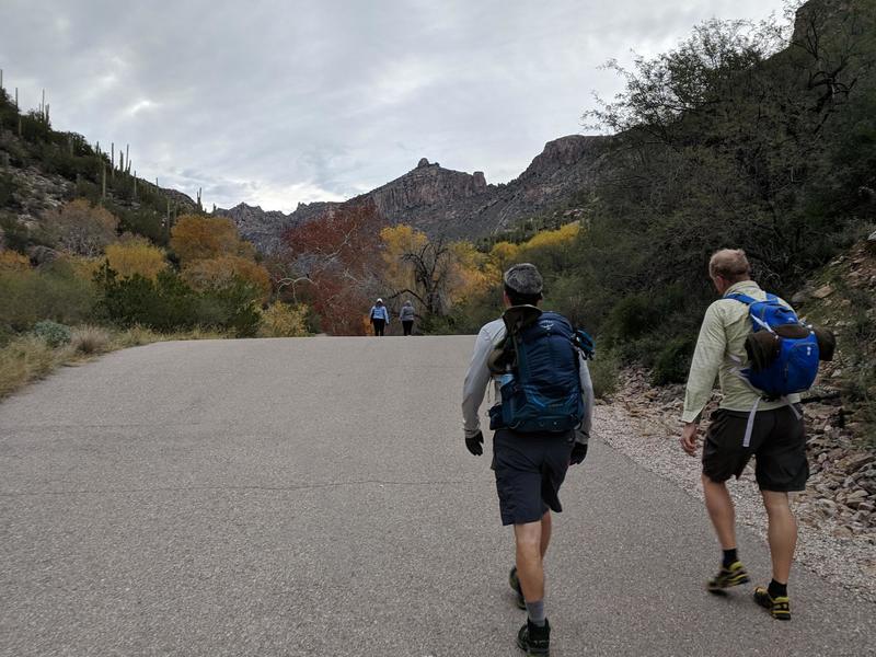 Morning hike up Sabino Canyon.