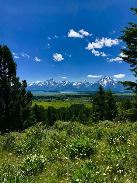 Hiking the Emma Matilda Lake Trail in Grand Teton National Park, June 2018.