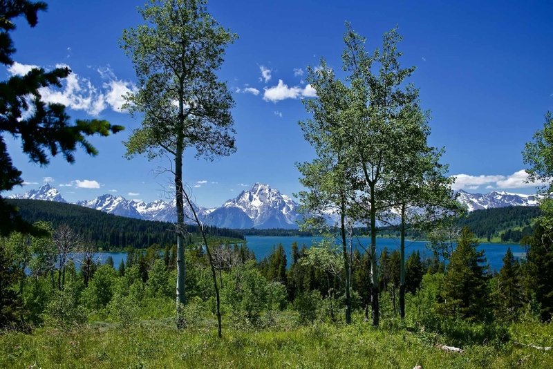 Hiking the Emma Matilda Lake Trail in Grand Teton National Park, June 2018.