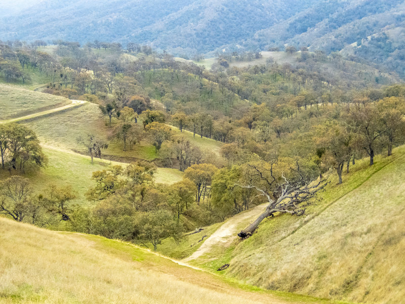 Looking down at the Hidden Valley Trail from the Ridgeline Loop in December.