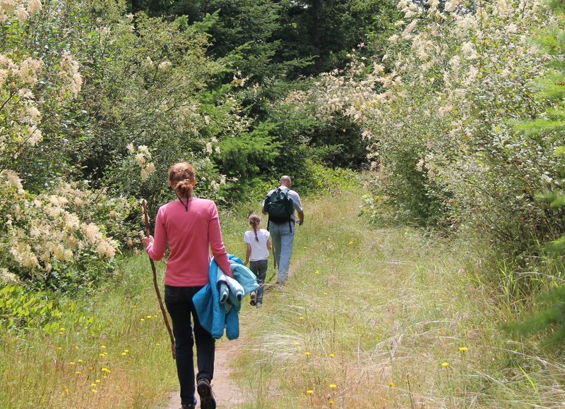 Family in the meadow portion of Guemes Mountain Trail.