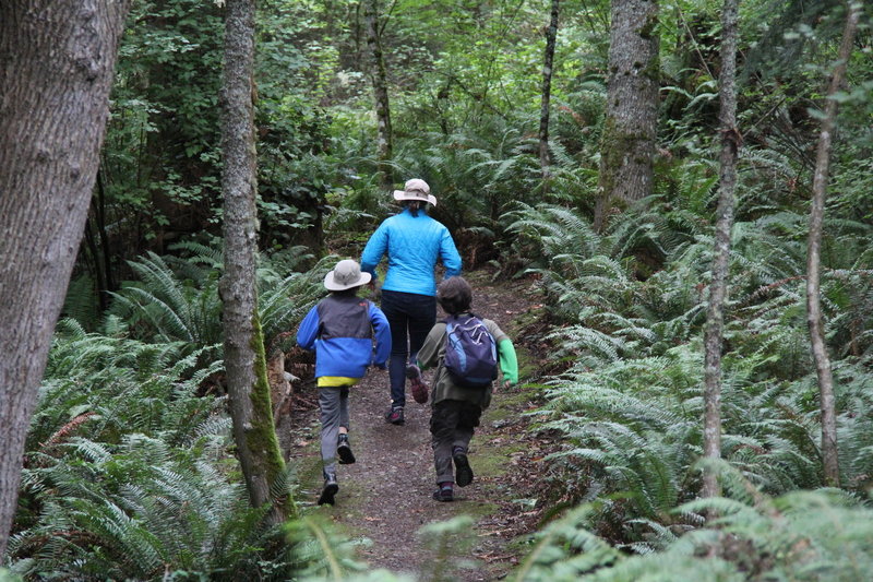 Keeping pace on Guemes Mountain trail