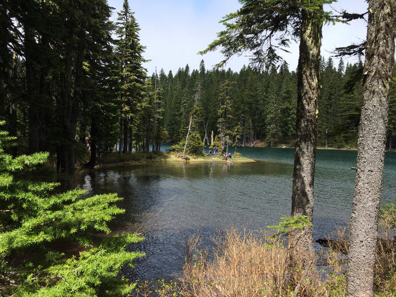 Camping Indian Heaven