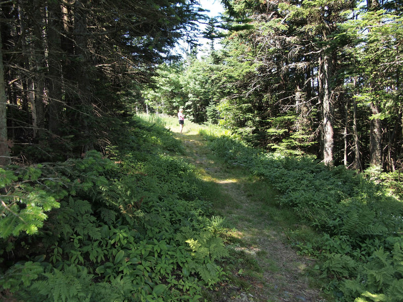 Mt. Snow Trail