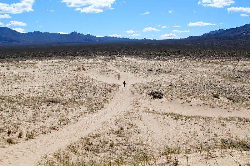 Looking back from the trail