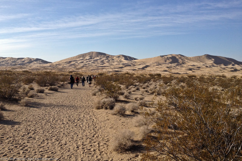 Kelso Dunes in desert in Mohave Preserve.