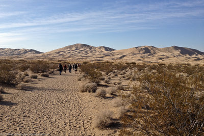 Kelso Dunes in desert in Mohave Preserve.