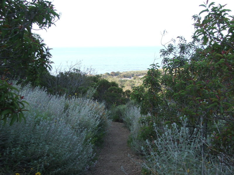 nicholas flat trail