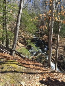 Cascade View on the Cricket