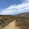 Great Dune View Trail