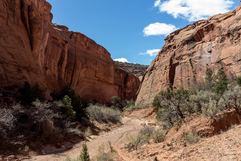 As you enter Little Death Hollow, the trail frequently meanders through the wash