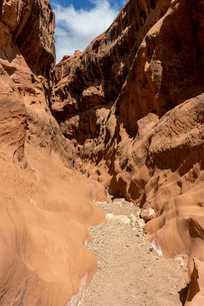 A fascinating wave pattern at the bottom of the canyon walls in Little Death Hollow