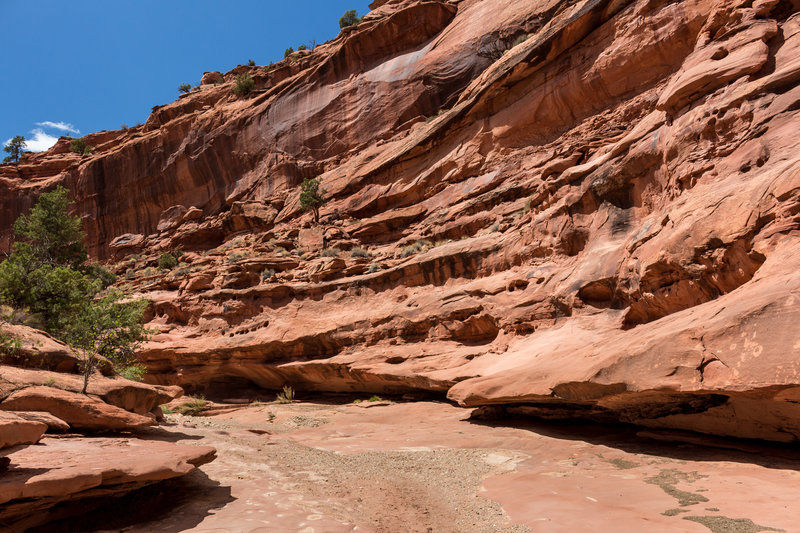 As you get closer to Horse Canyon, Little Death Hollow widens again