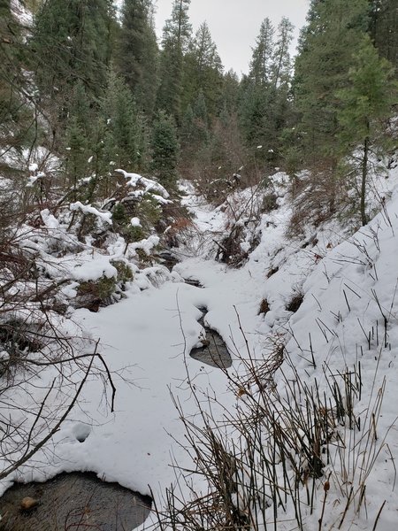 Snowy Day in Icebox Canyon