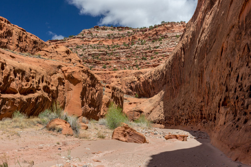 Massive layers of sandstone carved through over millions of years