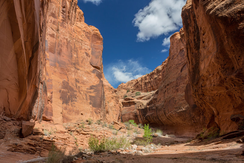 Different water levels have carved alcove-like structures into the canyon walls of Wolverine Canyon