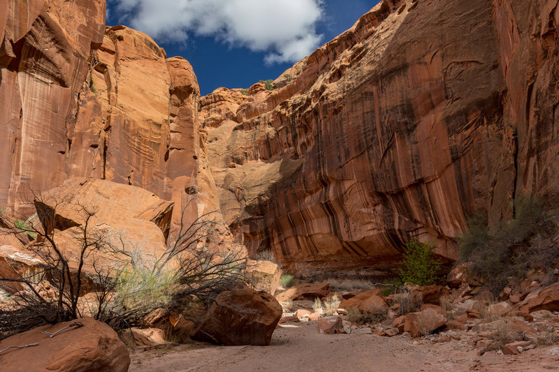 Some light scrambling is occasionally required to get through larger fields of boulders