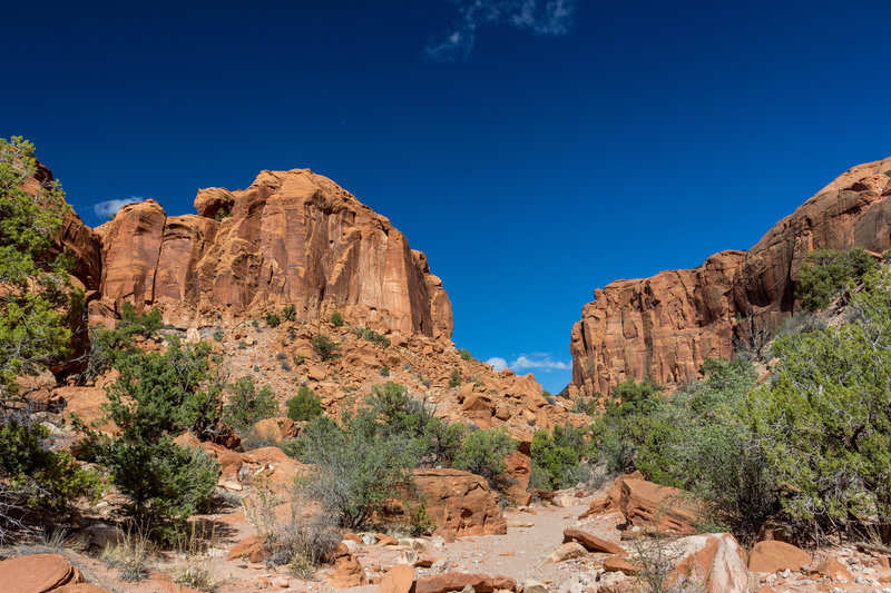 A rocky and sandy wash leading away from Wolverine Canyon.