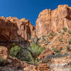 Amazing Wingate Sandstone formations on the northern side of the Wolverine side canyon