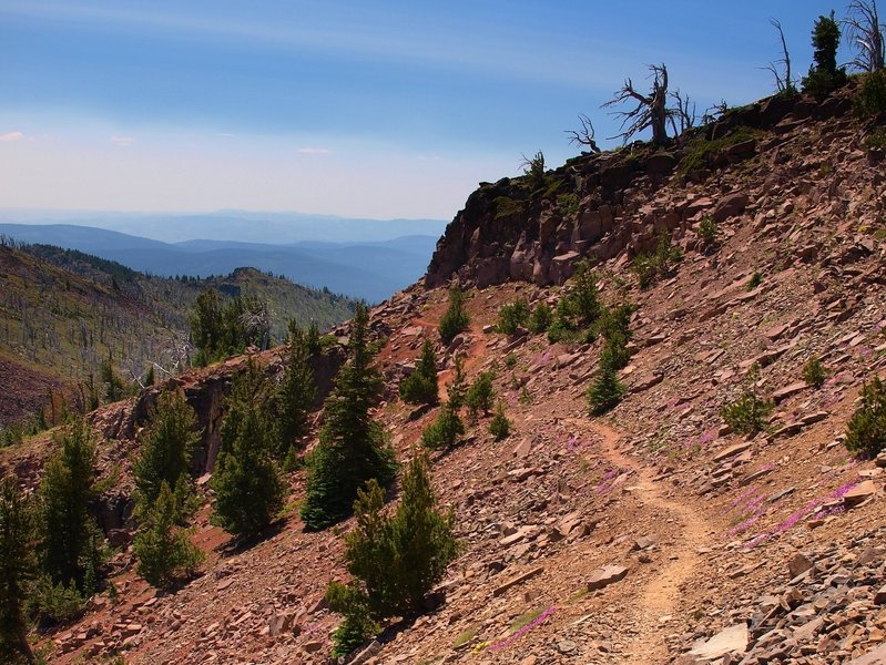 Along the trail below Strawberry Mountain