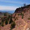 Along the trail below Strawberry Mountain