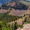 Where the Strawberry Basin Trail reaches the ridge (on right)