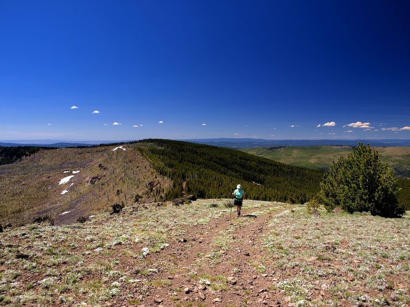 Approaching the summit of Lookout Mountain