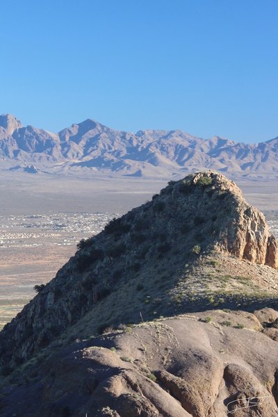 Looking South Down the Ridge