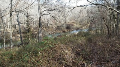 Patuxent River from the trail