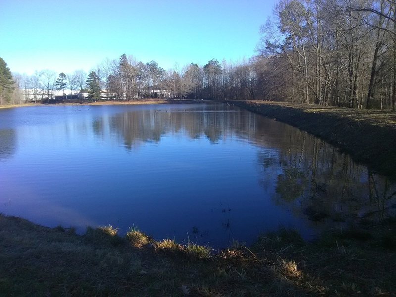 Pond