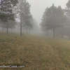 Foggy day on the trail to Sheepnose Mountain