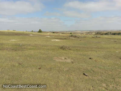 The giant prairie dog town you cross on the Big Plateau Trail