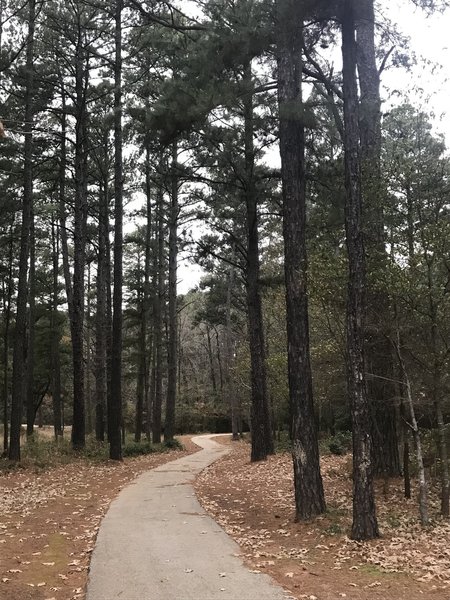 Julianna Trail near Tolar Road