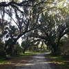 Trail features a number of meadows with majestic live oaks.