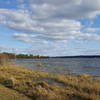 View of Lake Weir on the southern end of the loop trail.