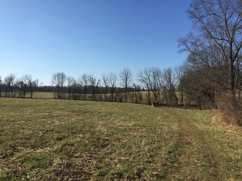 Trail in a meadow in Marshall Bridge Preserve