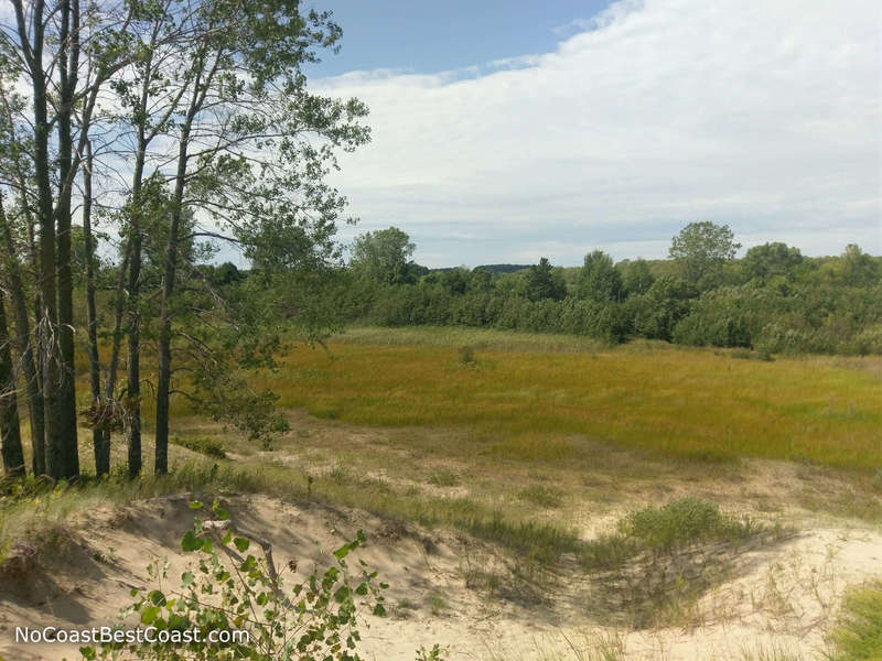 The view of the dunes from a spur trail.