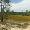 The view of the dunes from a spur trail.