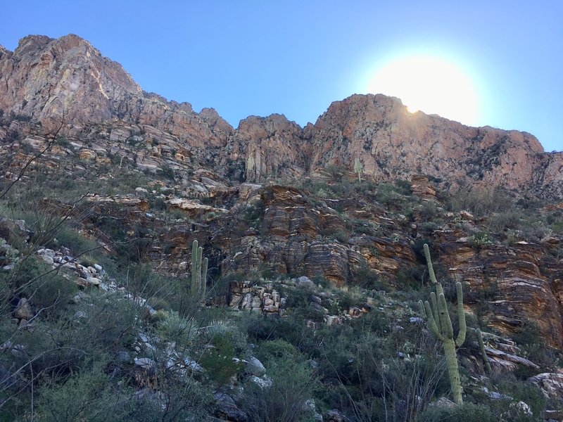 View heading up canyon - looking east.