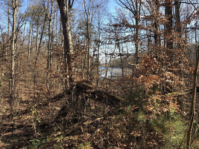 A view during winter looking at the lake from the trail. This is not visible when the leaves are still up.