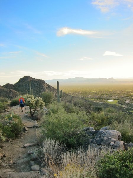 View south from the top of Alamo Spring Trail