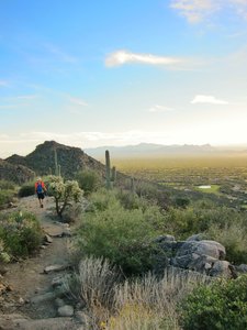 View south from the top of Alamo Spring Trail