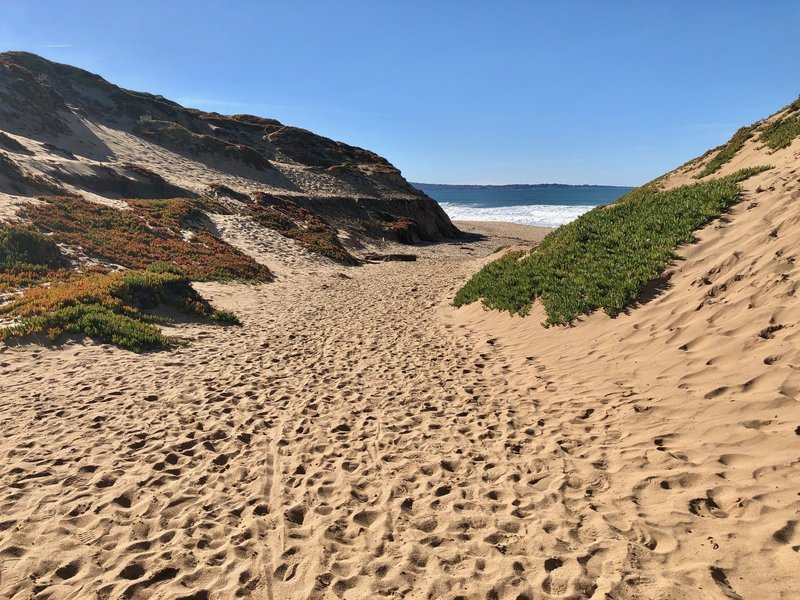 Hiking down to the beach through the Fort Ord dunes