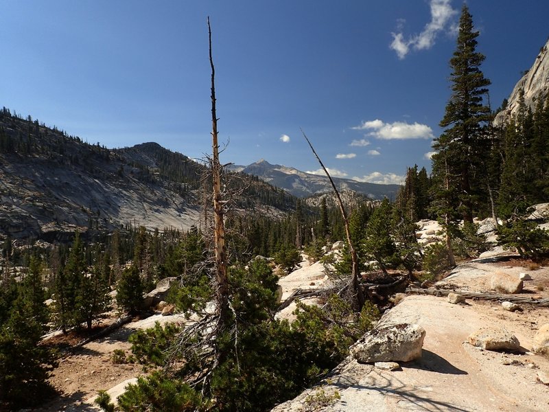 The view south from the Cathedral Fork Trail