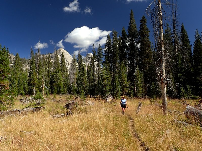 Crossing a meadow along the Cathedral Fork Trail