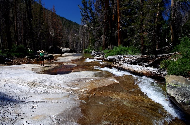 Along Lewis Creek