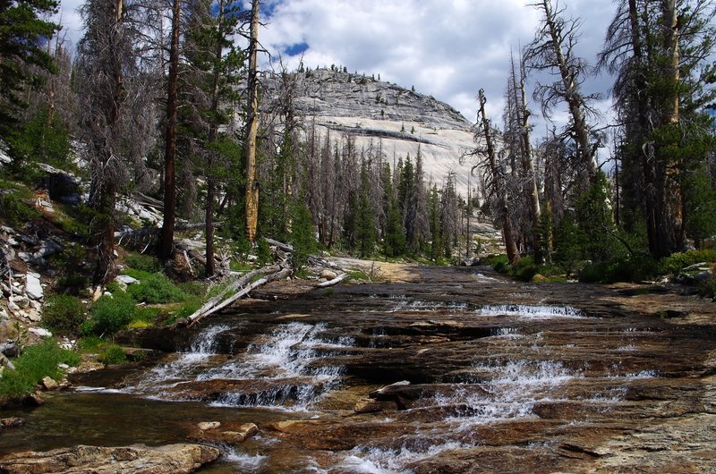 Along Emeric Creek