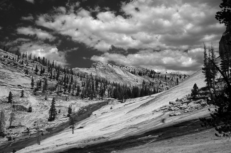 Looking up the Fletcher Creek drainage