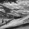 Looking up the Fletcher Creek drainage